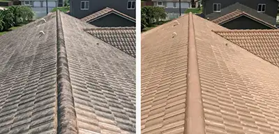 Long Island Roof Washing, North Carolina, NC